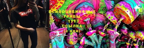 2c-b Абинск